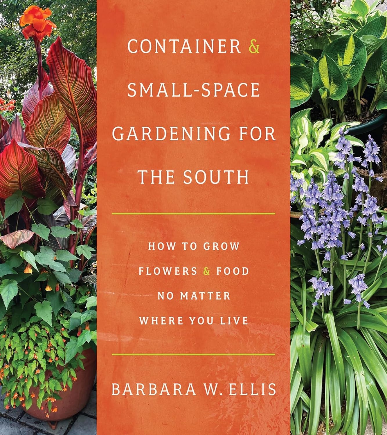 Container & Small-Space Gardening for the South