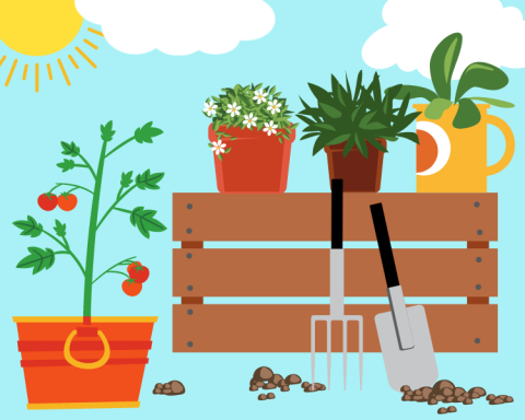 plants, gardening tools, sun and clouds