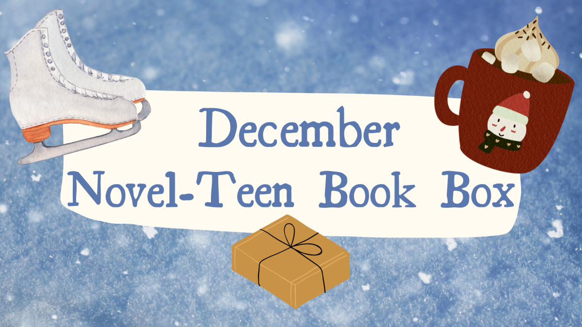 December Novel-Teen Book Box