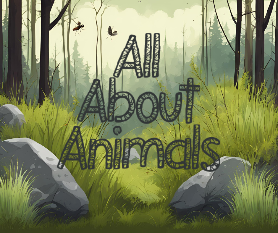 All About Animals